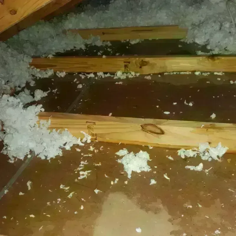 Attic Water Damage in Michigan Center, MI