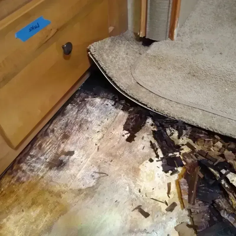 Best Wood Floor Water Damage Service in Michigan Center, MI